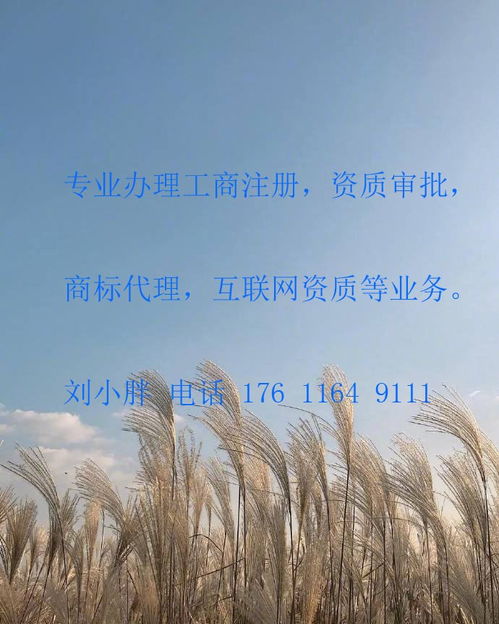 豐臺成壽寺辦理網(wǎng)絡(luò)文化經(jīng)營許可證（文網(wǎng)文）條件及加急服務(wù)指南